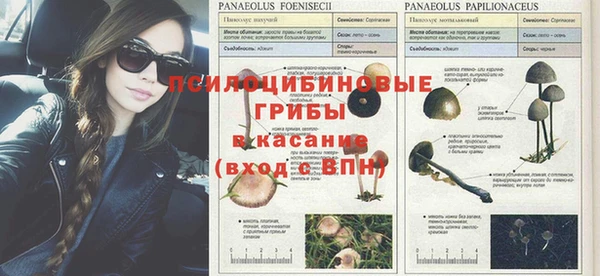 гашиш Белокуриха