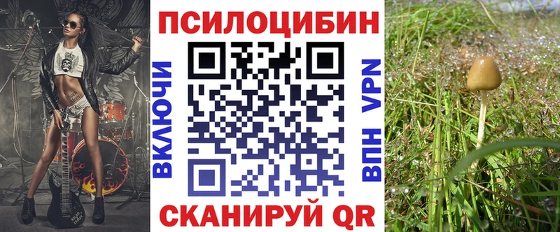 магазин    Советская Гавань  Галлюциногенные грибы MAGIC MUSHROOMS 